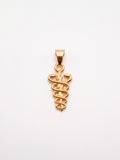 Pingente fisioterapia 1,9 x 1,1 cm - banhado a ouro 18k