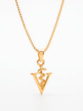 Corrente veterinária - veneziana - banhado a ouro 18k