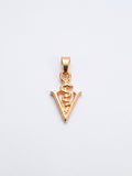 Pingente veterinária 1,8 x 1,2 cm - banhado a ouro 18k