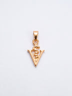 Pingente veterinária 1,8 x 1,2 cm - banhado a ouro 18k