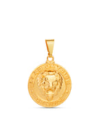 Pingente Leão da Tribo de Judah - banhado a ouro 18k