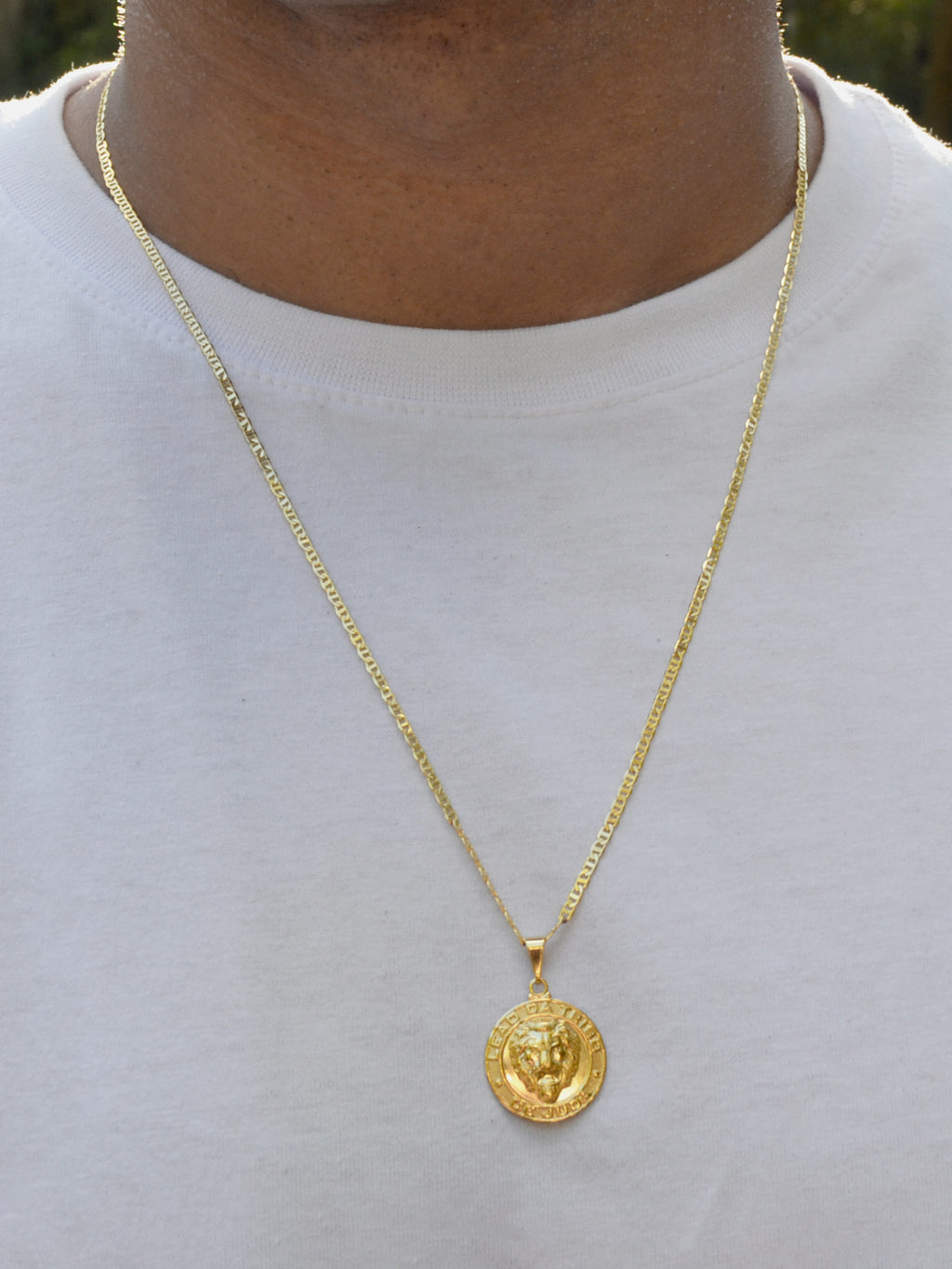 Pingente Leão da Tribo de Judah - banhado a ouro 18k - foto 2