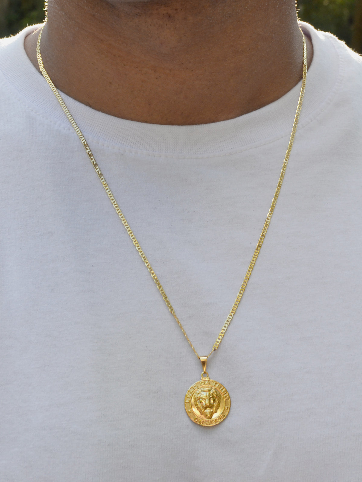 Pingente Leão da Tribo de Judah - banhado a ouro 18k - foto 2