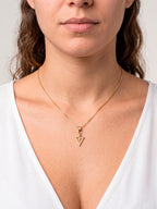 Corrente veterinária - veneziana - banhado a ouro 18k - foto 3